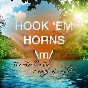 Meet your Posher, Janice lee